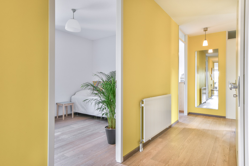 When Should You Repaint Your Home's Interior?
