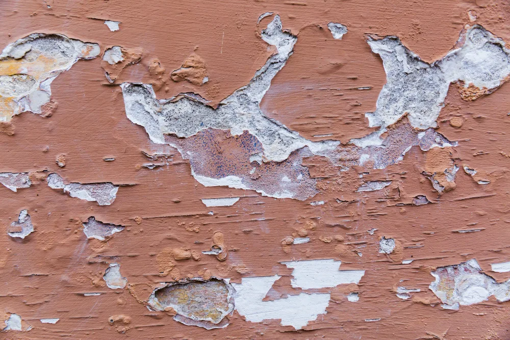 Signs It's Time to Repaint Your Home's Exterior